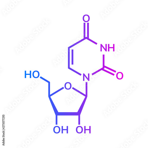 Uridine chemical formula on white background