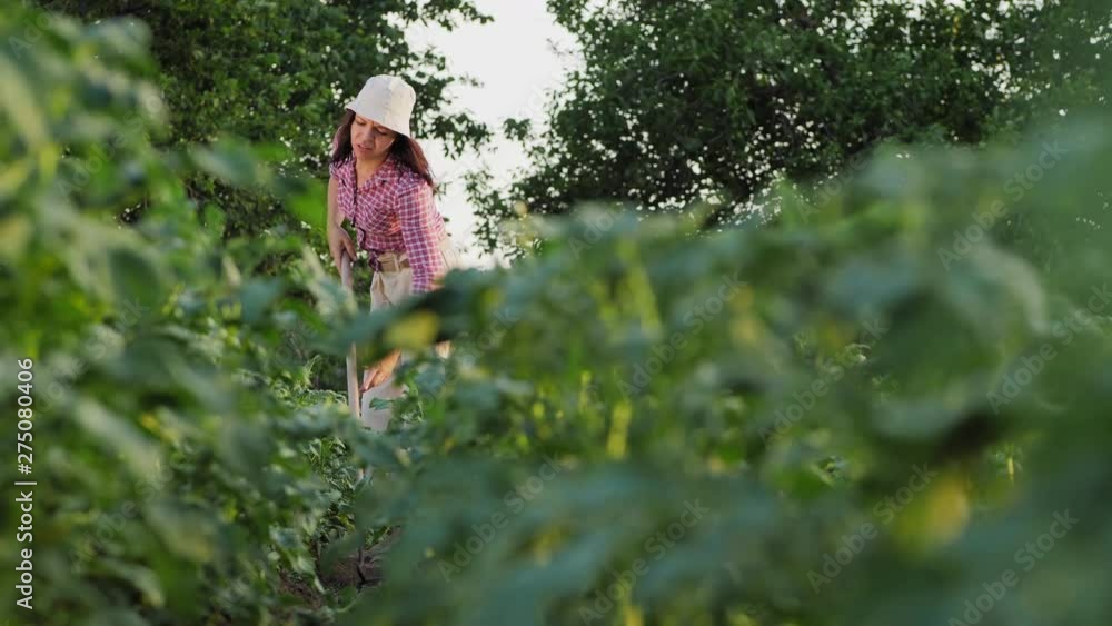 Tired woman farmer suffers from back pain Tired woman farmer suffers from back pain