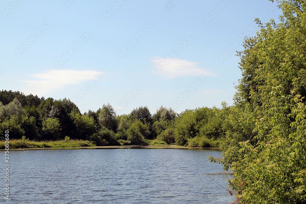 blue lake in the forest