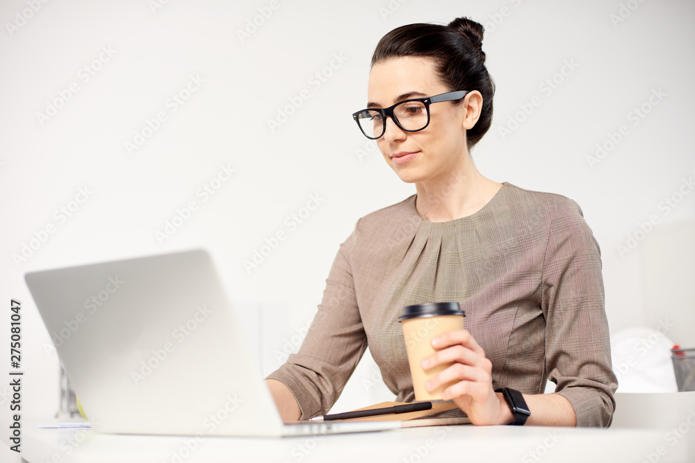 Mid age businesswoman working at the laptop in office Mid age businesswoman working at the laptop in office