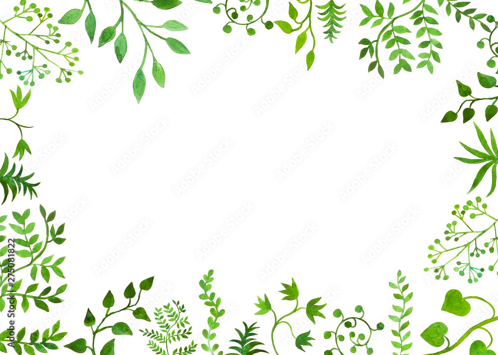 bella cornice su sfondo bianco botanica Stock Illustration | Adobe Stock