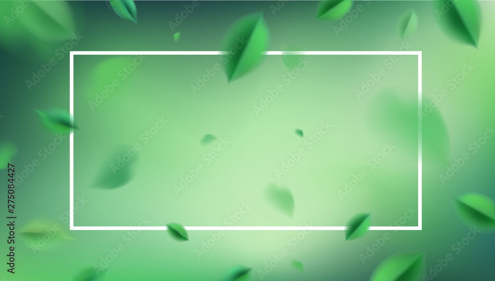 Green nature abstract background with flying spring leaves and white frame vector design - obrazy, fototapety, plakaty 