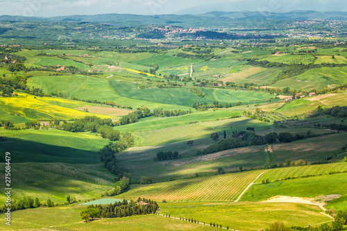 Landscape near Montepulciano town in Tuscany region of Italy  Europe.