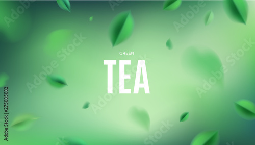Green tea nature abstract background with flying spring leaves vector design