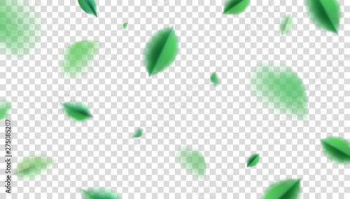 Green flying spring leaves vector nature design elements