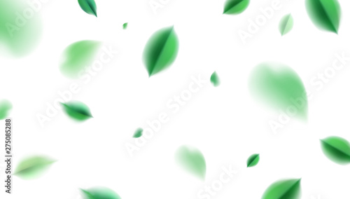 White nature abstract background with flying green spring leaves vector design