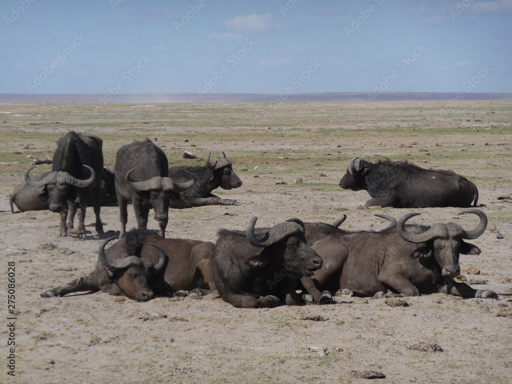 Afrika, Landschaft, weites Land, Wasserstelle Afrika, Landschaft, weites Land, Wasserstelle
