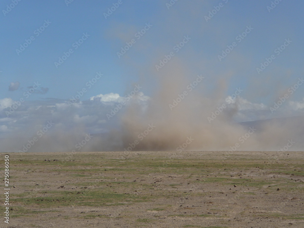 Afrika, Landschaft, weites Land, Windsrose Afrika, Landschaft, weites Land, Windsrose