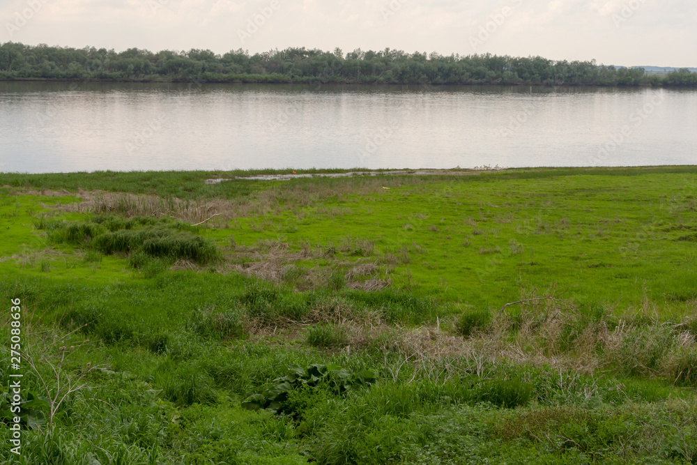 bank of the large river Irtysh