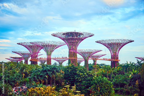 Gardens by the Bay is a nature park in Singapore © badahos