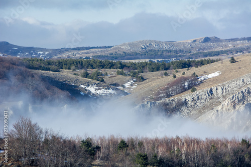 Trees and rocks. Mountain range Demerdzhi, the Republic of Crimea.