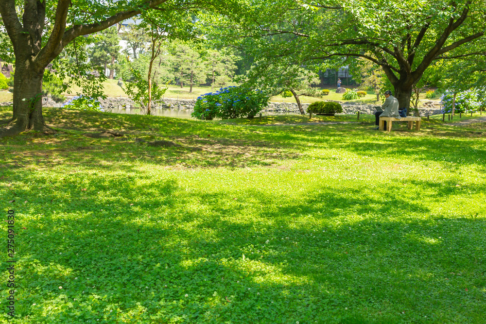 Fototapeta premium 旧芝離宮恩賜庭園の風景