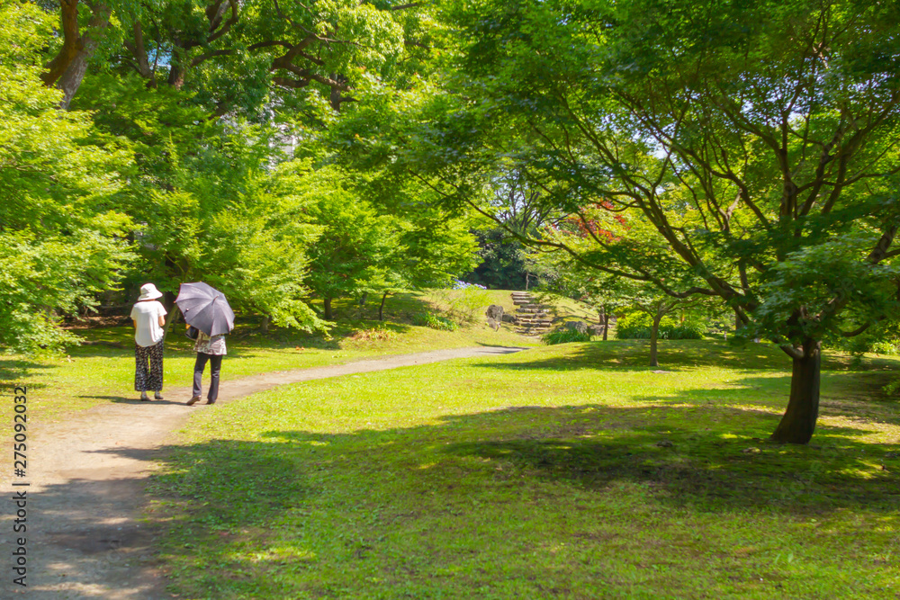 旧芝離宮恩賜庭園の道 旧芝離宮恩賜庭園の道