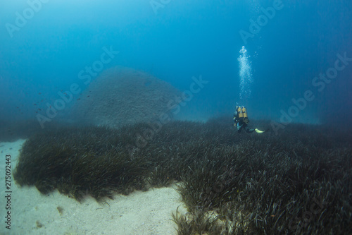 Wreck of Saphis, Mediterranean sea.