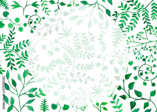 cornice acquerello piante verdi sfondo bianco