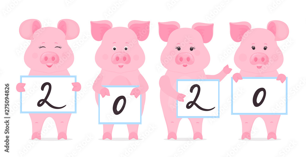 Pigs are holding signs with numbers 2020. Chinese New Year.