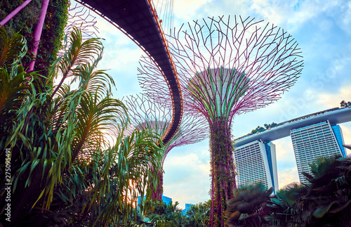 Gardens by the Bay  with Supertree in Singapore