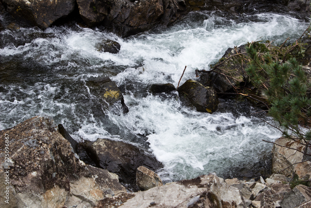 Mountain river with rocky bottom close-up. Water close up. Nature in Russia. Summer in Russia.