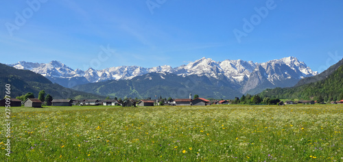 Frühlingswiese vor Wettersteingebirge, Garmisch-Partenkirchen