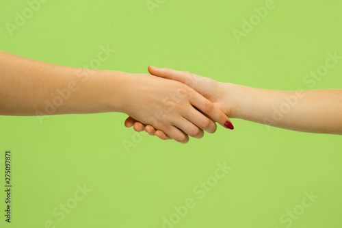 Closeup shot of human holding hands isolated on green studio background. Two female's palm's. Concept of human relations, friendship, partnership, family. Copyspace.