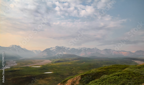 Scenic view in Denali National Park