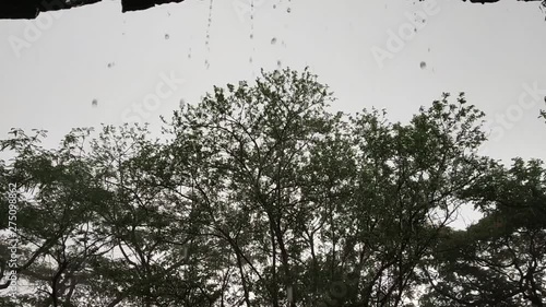 Heavy Rain and Wind 