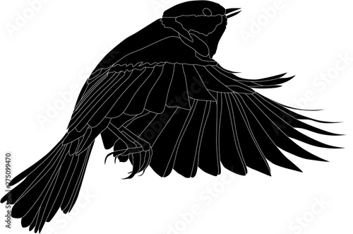 illustration with black great tit in flight silhouette