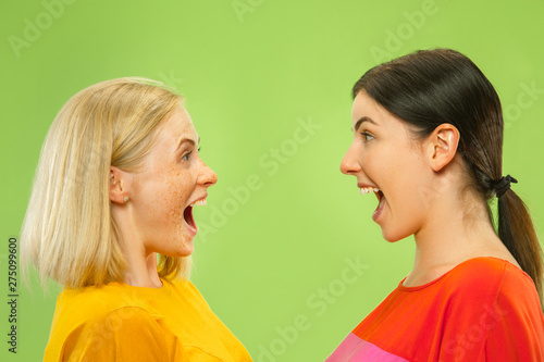 Portrait of pretty charming girls in casual outfits isolated on green studio background. Two female models as a girlfriends or lesbians. Concept of LGBT, equality, human emotions, love, relation.