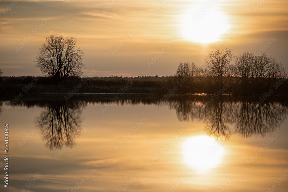 Sunset in the meadow. The sun, sky and trees are reflected in the river. Spring flood