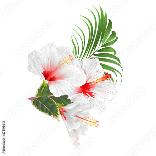 Tropical flowers  floral arrangement, with pink white and yellow hibiscus and  palm ficus  vintage vector illustration  editable hand draw 