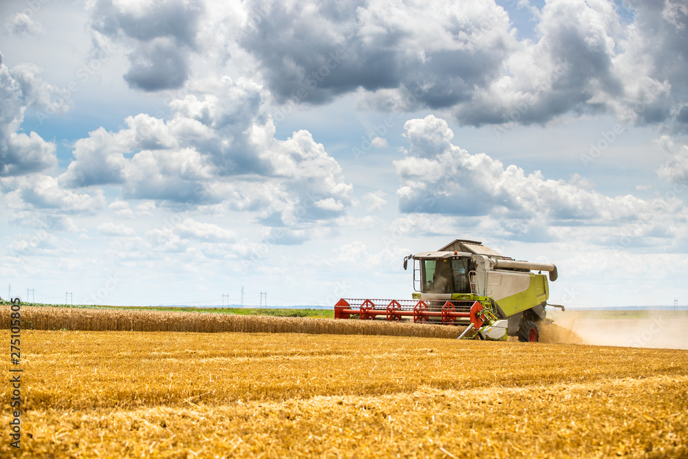 Combine harvester in action on wheat field. Harvesting is the process of gathering a ripe crop from the fields. Combine harvester in action on wheat field. Harvesting is the process of gathering a ripe crop from the fields.