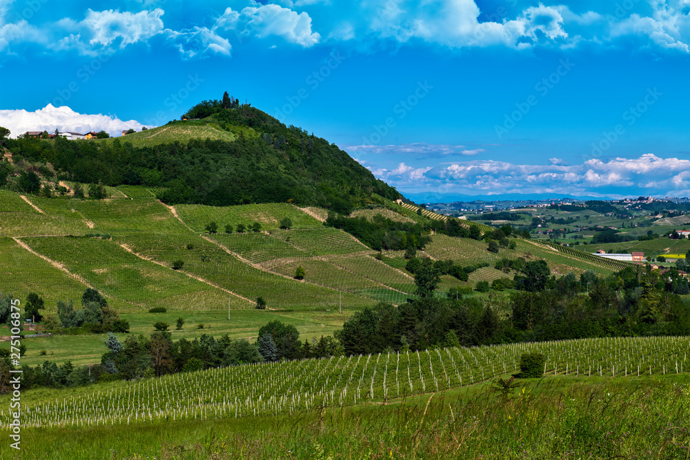 Vineyards and woods on the hillside of Bricco Lù located in the municipality of Costigliole d'Asti Piedmont Italy