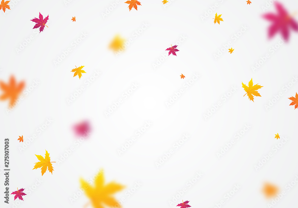 Vector background design, leafy autumn leaves Templates for banners, banners Vector background design, leafy autumn leaves Templates for banners, banners