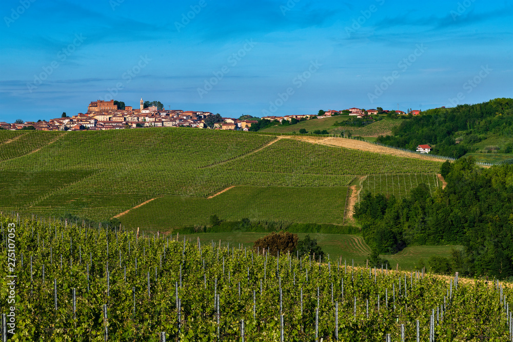 Vineyards and woods on the Montalbera Hillside located in the Municipality of Castagnole Monferrato Piedmont Italy
