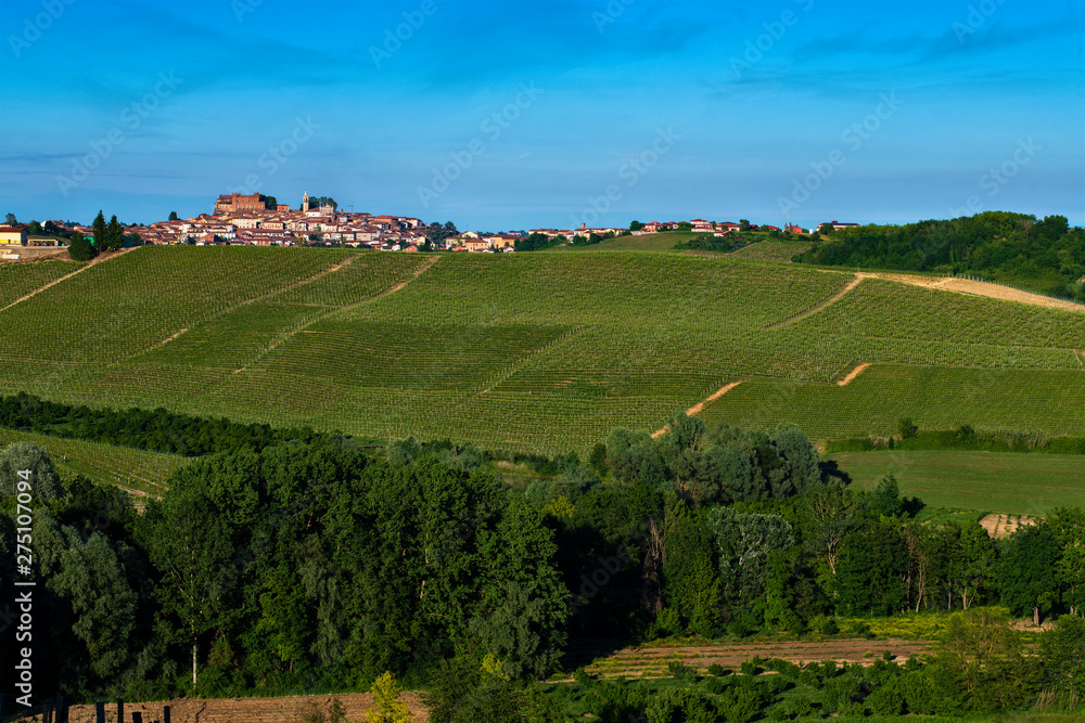 Vineyards and woods on the Montalbera Hillside located in the Municipality of Castagnole Monferrato Piedmont Italy
