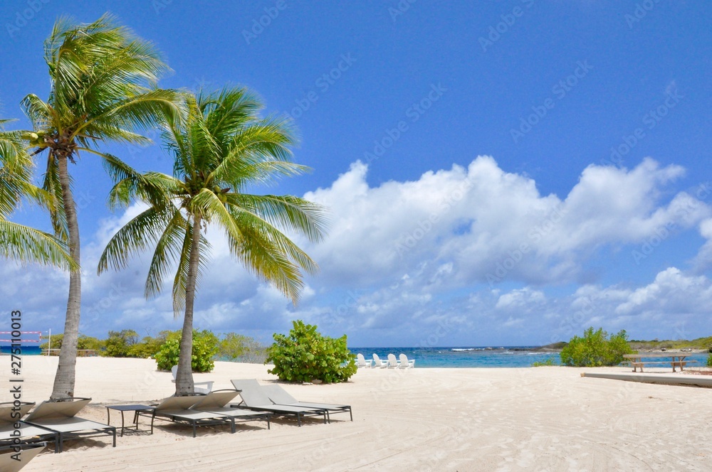 tropical beach with palm trees and  loungers