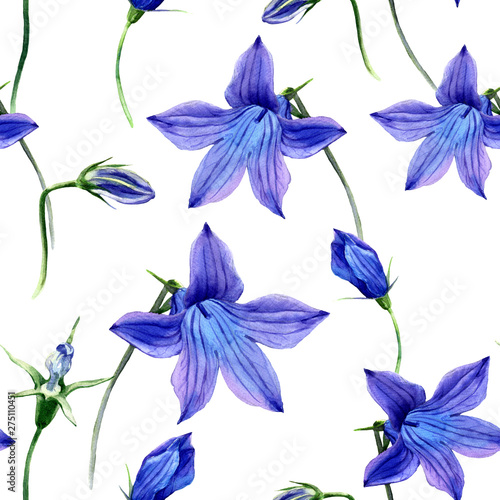 Fototapeta Naklejka Na Ścianę i Meble -  Watercolor seamless pattern of flowers field bell.