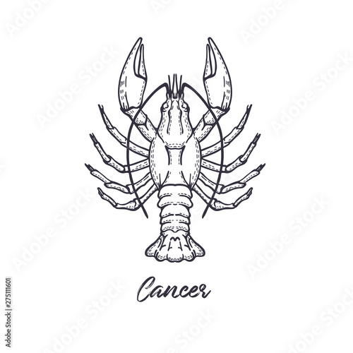 Cancer Zodiac constellation. The symbol of the astrological horoscope.