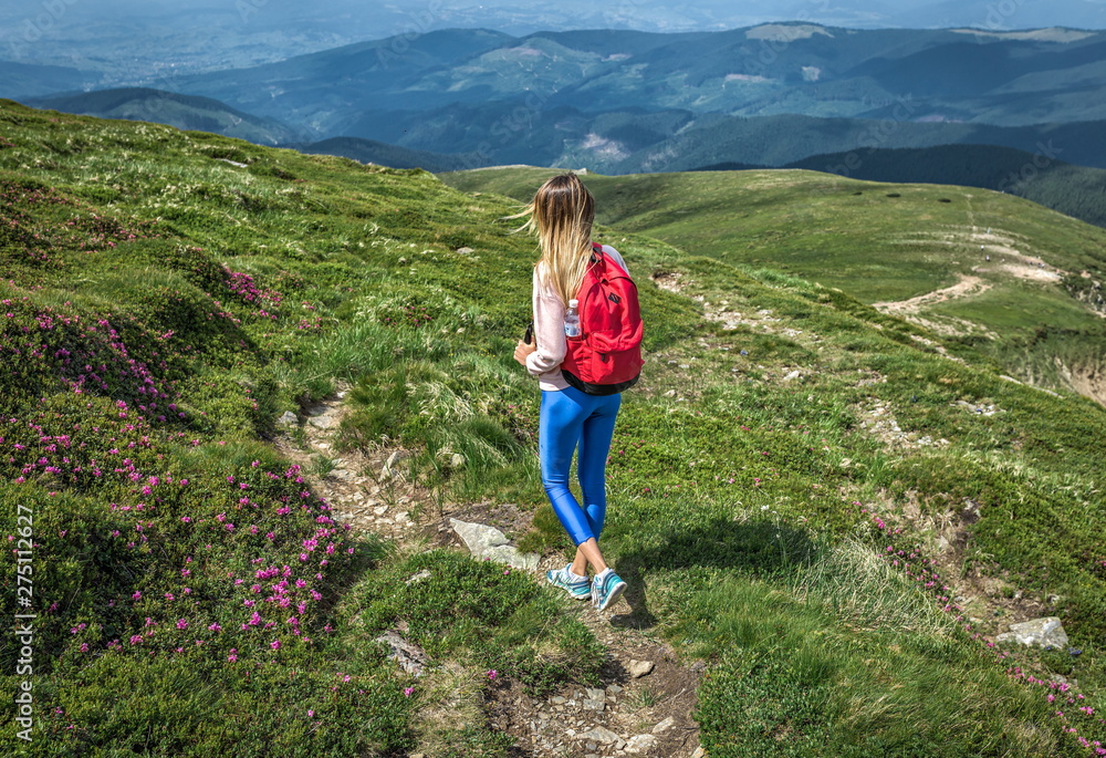 Traveler girl with red backpack is walking along green path in mountains. Summer or spring flowers rue