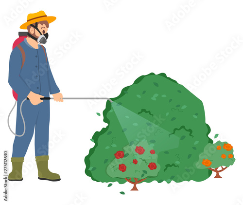Man wearing special protective uniform vector, male with respirator and sprayer, farmer spraying roses bushes in garden with toxic liquid, pesticides