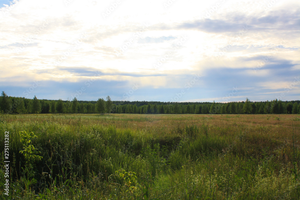 Green field and forest in summer, sunlight penetrates through the clouds Green field and forest in summer, sunlight penetrates through the clouds