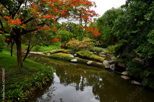 landscape beauty nature in garden park public Bangkok Thailand 