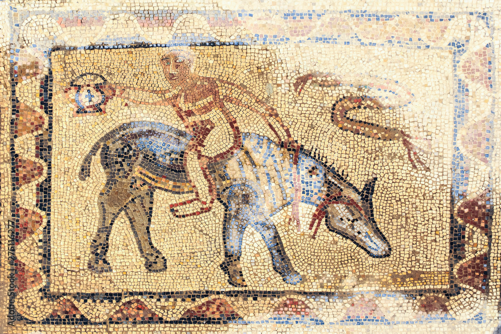 Naklejka premium Mosaic floors in Volubilis