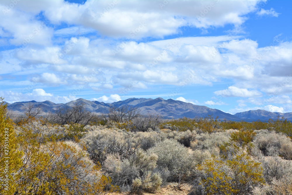 Mojave desert scenic landscape with mountains.