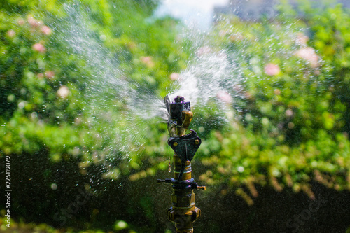 Sprinkler head watering in green park.