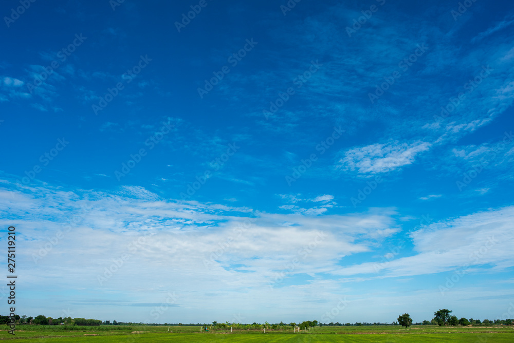 Blue sky background with green fields and white clouds.