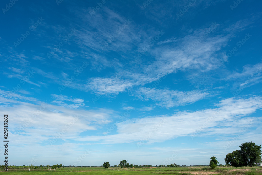 Blue sky background with green fields and white clouds. Blue sky background with green fields and white clouds.