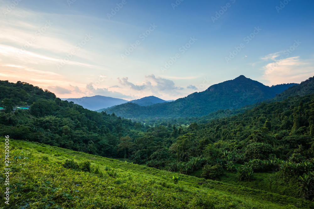 High angle view of Valley and mountain landscape