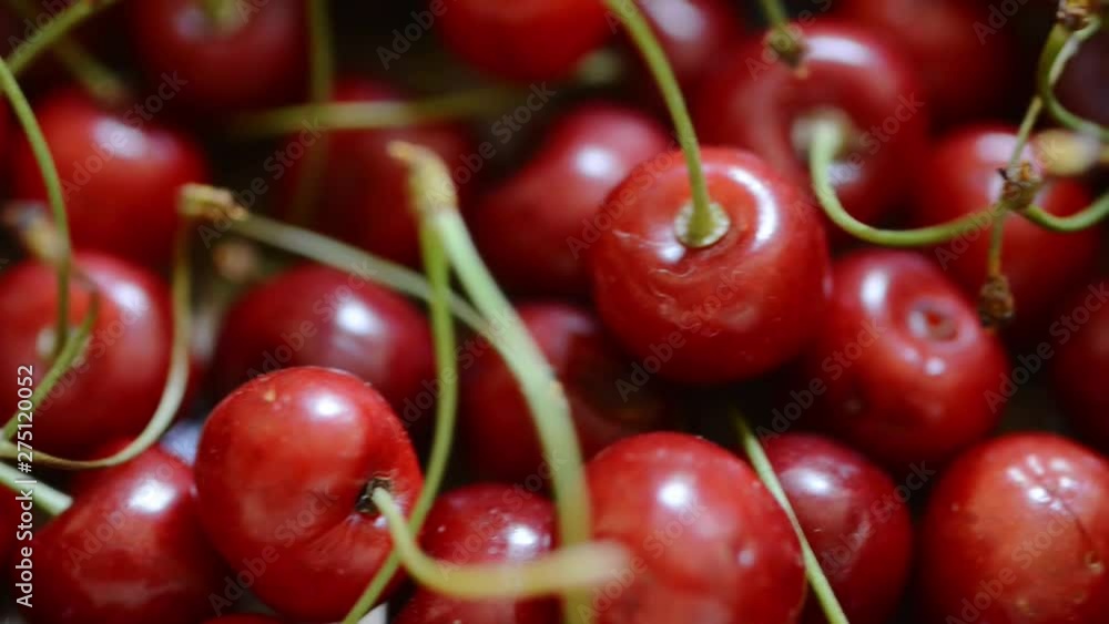 close up move over fresh organic red cherry fruits close up move over fresh organic red cherry fruits