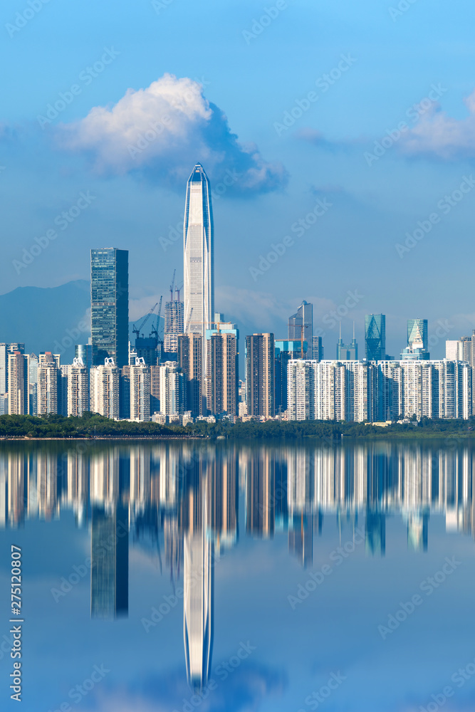 Shenzhen Central Building Skyline